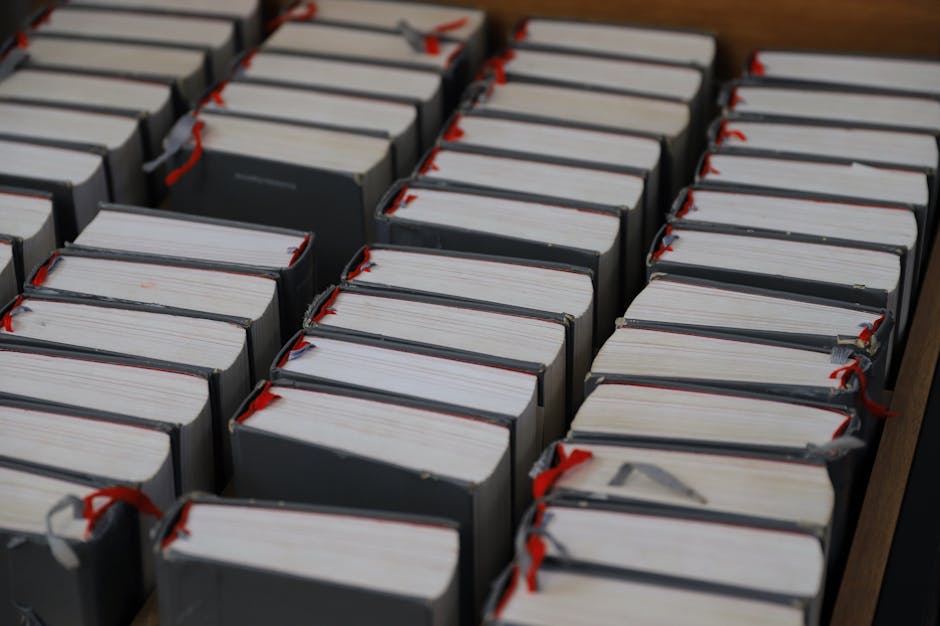 How to Choose the Right Bible Translation for You